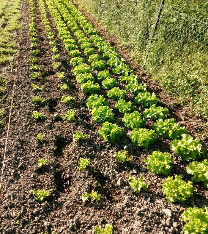 L'exploitation de Sébastien Fauvel