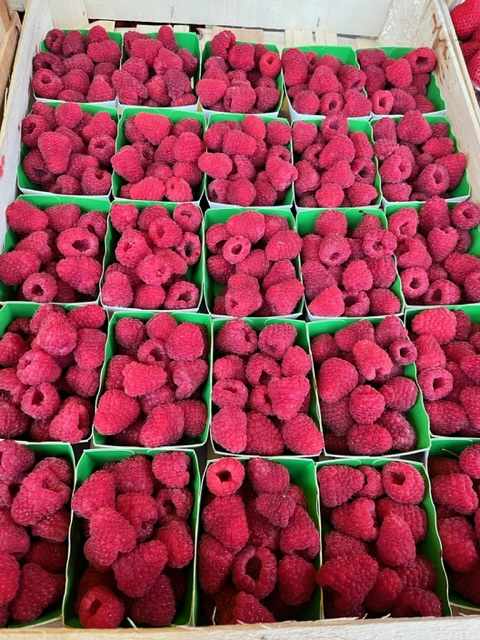 Framboises 